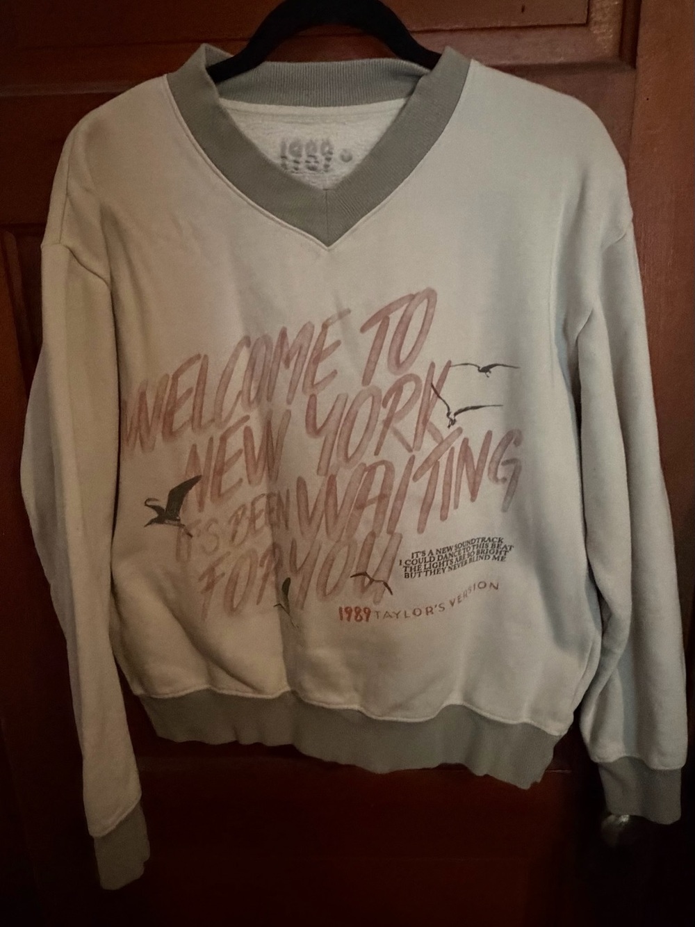 Taylor Swift Men's Sage V-Neck Sweater with Dusty Pink Graphic